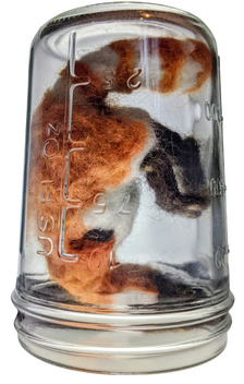 Wet Specimen, Needle Felting, 2023