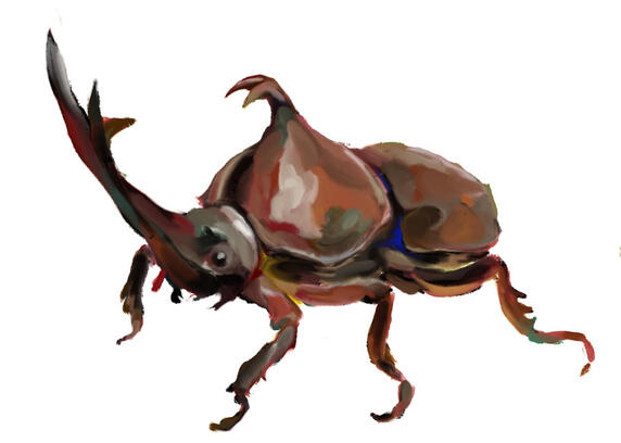 Beetle, Digital, 2023