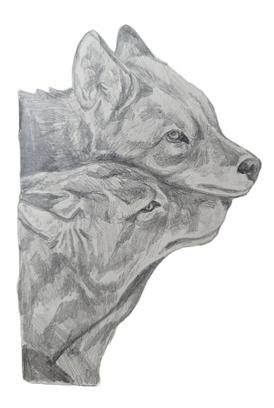 Wolves, graphite, 2024